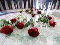 گزارش تصویری مراسم عطرافشانی و ادای احترام به مقام شامخ شهدای هشت سال دفاع مقدس
